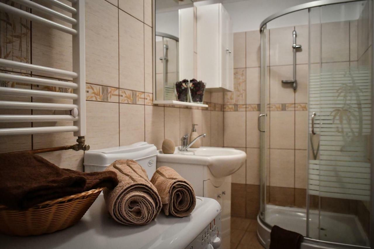 Spacious Stylish Apartment In Old Town Sibiu Extérieur photo